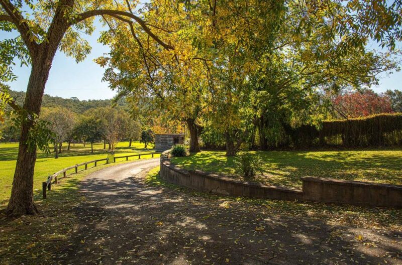 Native vegetation and wildlife habitat at Fernhill